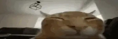 curlysplosion emote for Discord