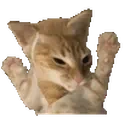 cuhcaught emote for Discord