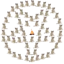 CursedCat emote for Discord