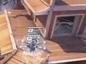 CUSTA emote for Discord