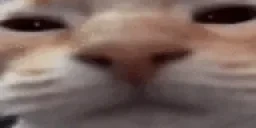 cuh emote for Discord