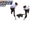 Curling emote for Discord