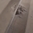 CuttinUp emote for Discord