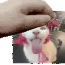 CuteBLEHHHPat emote for Discord