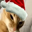 cuh emote for Discord