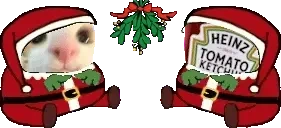 CutieAndMexiIRL emote for Discord
