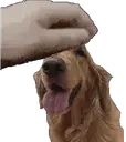 ClaraPetThor emote for Discord