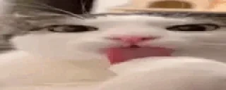 CLEAN emote for Discord