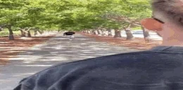 Closer emote for Discord