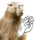 Clapivara emote for Discord