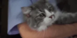 clintLookatyou emote for Discord