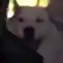 claraKOBE emote for Discord