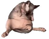 Clean animated emote for Discord, Twitch and Slack