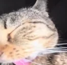 clean emote for Discord