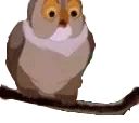 cmonOwl emote for Discord
