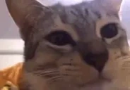 cmonMan emote for Discord