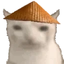cnCateat emote for Discord