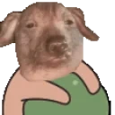 creatureBall emote for Discord