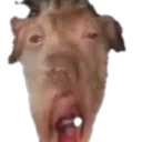 creatureOOOO emote for Discord