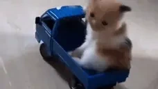 crash emote for Discord