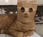 crime emote for Discord