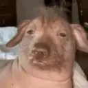 creatureCoffee emote for Discord