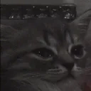 cry emote for Discord