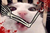 crunch emote for Discord