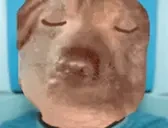 creatureSchizo emote for Discord