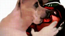 creatureDocBite emote for Discord