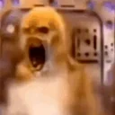 CRASHINGOUT emote for Discord