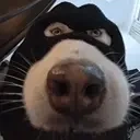 CRIMINAL emote for Discord