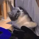 crying emote for Discord