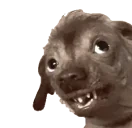 creatureLookUp emote for Discord