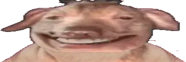 creatureviiibE emote for Discord