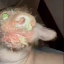 creatureTasty emote for Discord