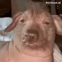 creatureCupcake emote for Discord