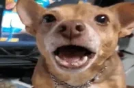 crunch emote for Discord