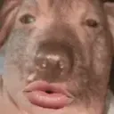 creatureSingingAtYou emote for Discord