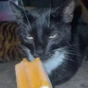 Creamsicle emote for Discord