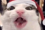 crunch emote for Discord