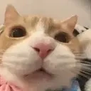 crunch emote for Discord