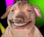 creatureDisco emote for Discord