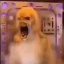 crashout emote for Discord