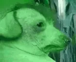 creaturebutgreen emote for Discord