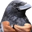 CrowApprove emote for Discord