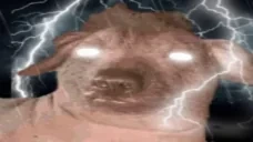 creatureMaxLevel emote for Discord