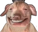 creaturevibE emote for Discord