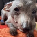 creatureStare emote for Discord