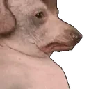 creature3 emote for Discord